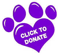 Donate